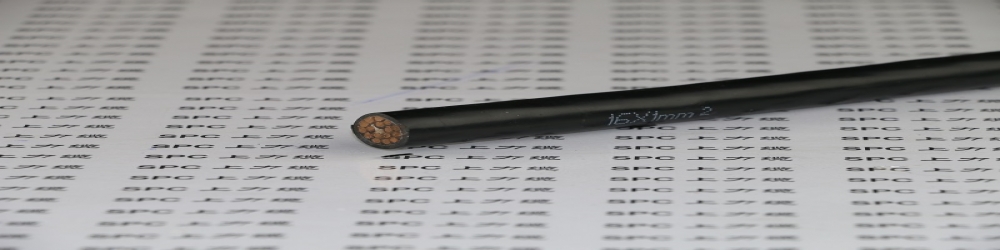 ?DJFP2GP22氟塑料絕緣銅帶繞包組屏蔽編織總屏蔽硅橡膠護(hù)套鋼帶鎧裝計(jì)算機(jī)電纜  ZR-DJFP2GP22計(jì)算機(jī)阻燃屏蔽電纜