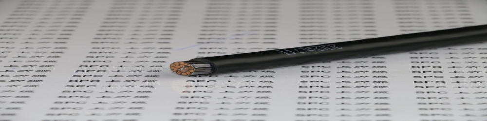 ?DJGP2GP22硅橡膠絕緣銅帶繞包組屏蔽編織總屏蔽硅橡膠護(hù)套鋼帶鎧裝計(jì)算機(jī)電纜  ZR-DJGP2GP22計(jì)算機(jī)阻燃屏蔽電纜