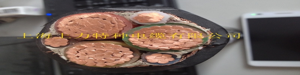 ?BPVVP聚氯乙烯絕緣聚氯乙烯護套銅絲編織屏蔽變頻電纜  SPCFC-PVC-YCY變頻專用電纜