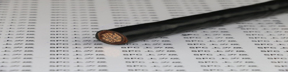 ?BPYJPVRP32交聯(lián)聚乙烯絕緣聚氯乙烯護(hù)套銅絲編織分屏蔽及總屏蔽鋼絲鎧裝變頻電纜  SPCFC-PVC-2YCCBY變頻專用電纜